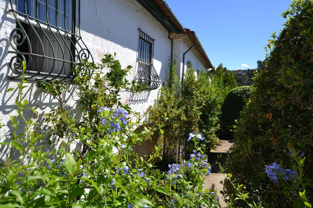 Bed and Breakfast Casa Do Campo - Turismo De Habitacao Селорику-ди-Башту Экстерьер фото